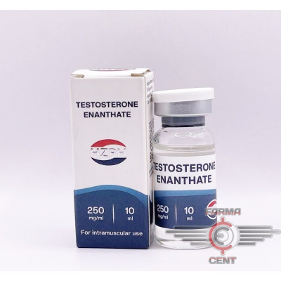 Testosterone Enanthate (250mg/ml 10ml) - HZPH