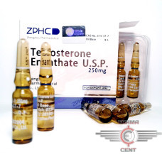 Testosterone Enanthate (250mg/1ml цена за 10 ампул) - Zhengzhou