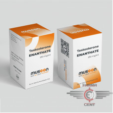 Testosterone Enanthate (10ml 250mg/ml) - Musk-on Pharmaceuticals
